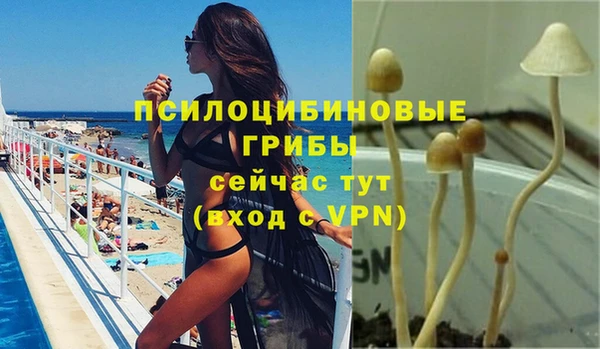 ПСИЛОЦИБИНОВЫЕ ГРИБЫ Белокуриха